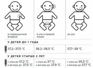 Сколько температура должна быть у месячных детей