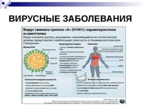 Что опаснее гепатит с свиной грипп или вич