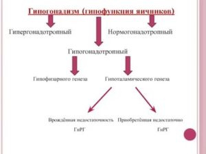 Гипофункция яичников это бесплодие