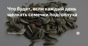 Можно щелкать семечки при месячных
