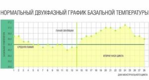 Как меняется температура тела в менструальном цикле