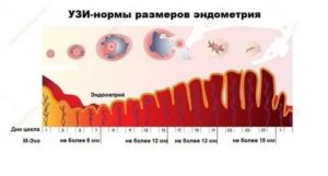 Сколько должно быть м-эхо перед месячными