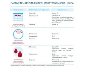 Почему сокращается цикл между месячными в 40 лет