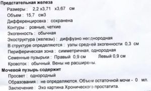 Предстательная железа эхоструктура неоднородная контур четкий