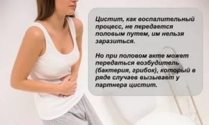 Как можно заразиться циститом от мужчины