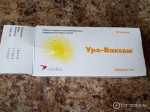 Уро ваксом при хроническом простатите