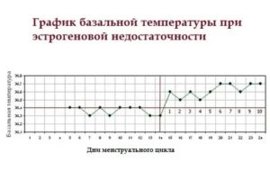 Может ли повышаться температура во время приливов при климаксе