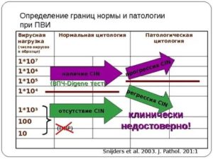 Что такое вирусная нагрузка в гинекологии