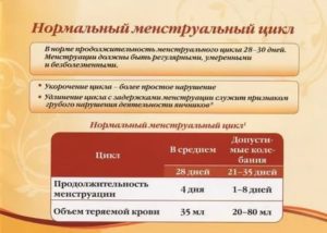 Почему сокращается цикл между месячными в 40 лет