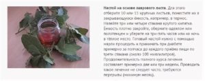 Как готовить отвар из лаврового листа для вызывания месячных