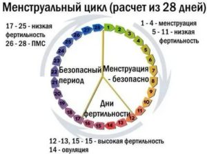 Почему между месячными маленький период времени