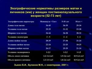 Размер матки при климаксе норма таблица