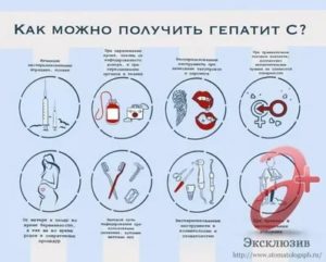Можно ли заразиться вич гепатитом через посуду еду