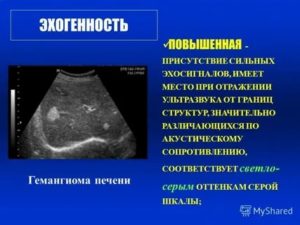 Что означает при узи матки повышенная эхогенность