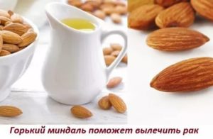 Миндаль при раке простаты