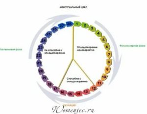 Почему не получается забеременеть при регулярных месячных