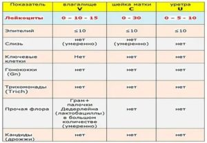 Какие будут лейкоциты при раке шейки матки