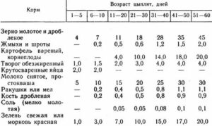 Можно ли кормить месячных бройлеров овсом