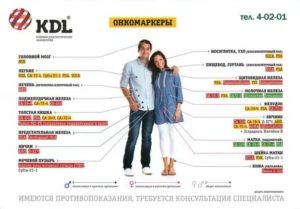 Какие онкомаркеры сдать на рак яичка