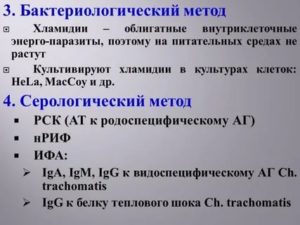 Что такое белок теплового шока при хламидиозе