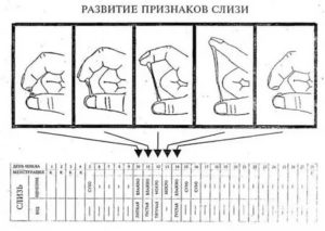 Можно ли забеременеть от смазки выделений слизи у мужчин во время месячных