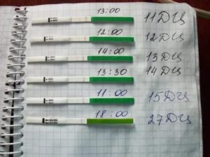 Как долго может не быть месячных после отмены ок хлое