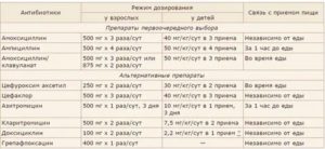 Сколько раз в день принимать амоксициллин при цистите