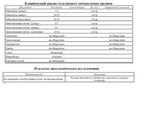 Сколько делается анализ на онкоцитологию в гинекологии