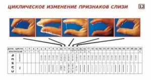 Почему происходит задержка жидкости в организме перед месячными