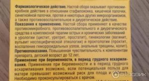 Как принимать бруснивер при простатите