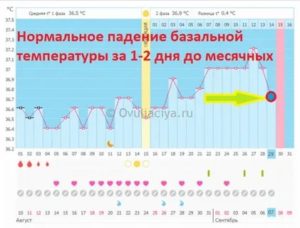 Почему базальная температура упала а месячных нет