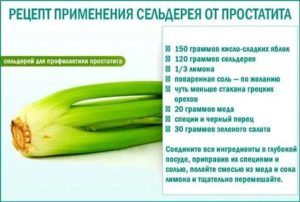 Помогает ли сельдерей при простатите