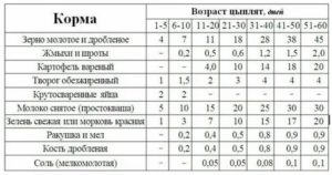 Можно ли кормить месячных бройлеров овсом