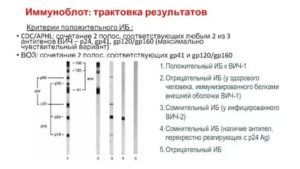 Что означают маркеры в иб вич