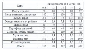 Сколько раз в день нужно кормить индоуток месячных