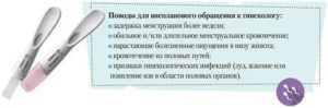 Когда идти к гинекологу до менструации или после