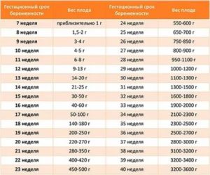 Сколько весят 7 месячные дети в утробе