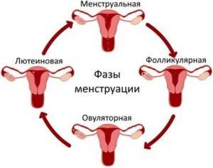 Можно ли забеременеть если есть нарушение менструального цикла