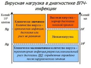 Что такое вирусная нагрузка в гинекологии