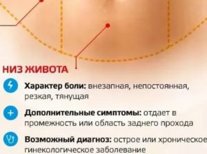 Почему болит живот и отдает в поясницу и нет месячных