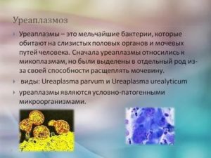 Может ли заразиться мужчина уреаплазмозом от женщины