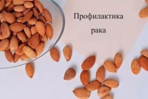 Миндаль при раке простаты