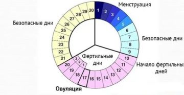 Может ли забеременеть если месячные длятся 2 дня