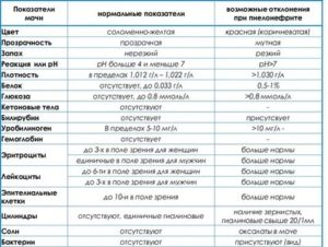 Может ли быть нормальным анализ мочи при цистите у женщин