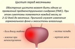 Почему перед месячными обостряется обоняние