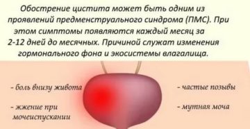 Почему перед месячными обостряется обоняние Почему перед месячными обостряется обоняние