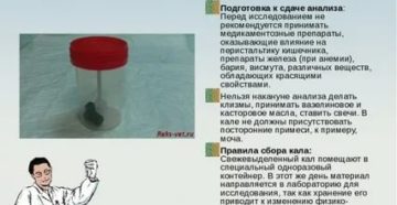 Можно ли сдавать кал на копрограмму во время месячных