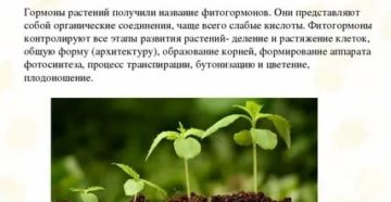 Какие фитогормоны при менопаузе Какие фитогормоны при менопаузе