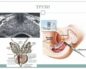 Можно ли заниматься сексом перед трузи предстательной железы