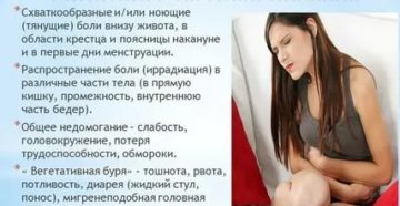 Почему во время месячных кружится голова и тошнит что это может быть